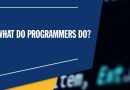 What Does a Programmer Do? The Life of a Programmer